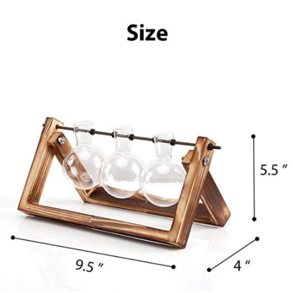 Desktop Glass Planter 3 Bulb Vase - Picture 8 of 9